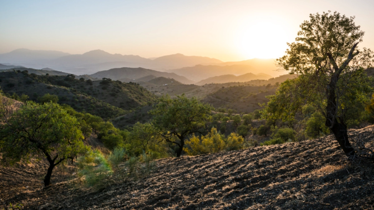 an image of Andalucia mountain landscape.