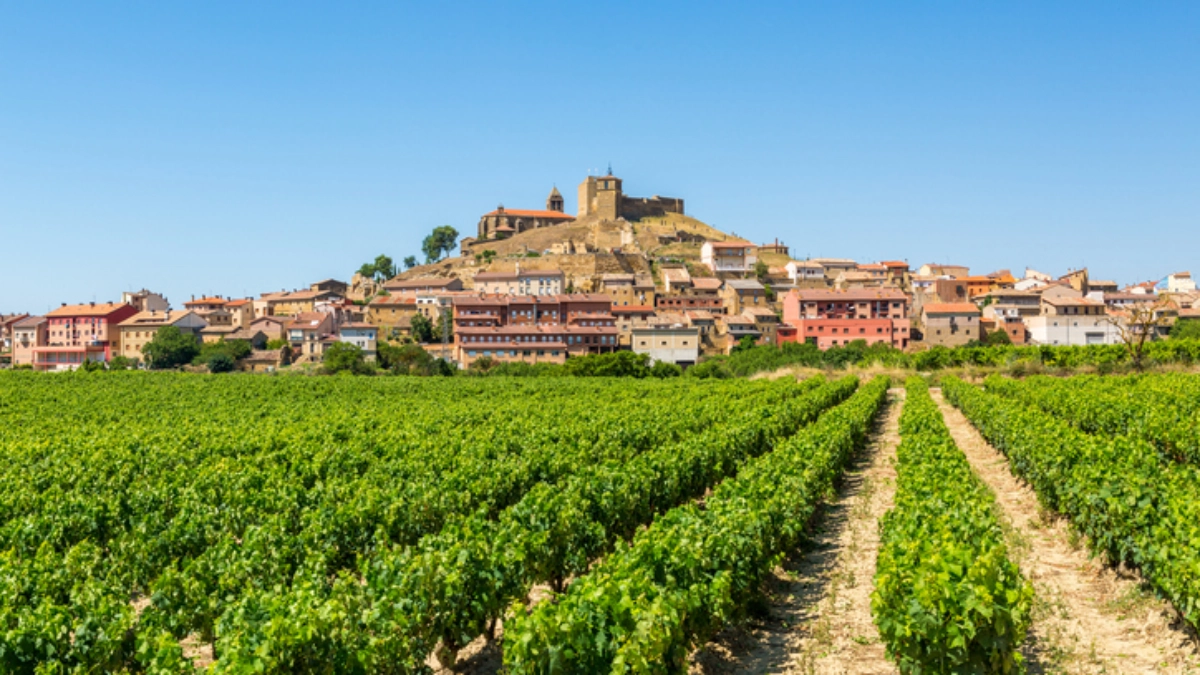 an image of el rioja