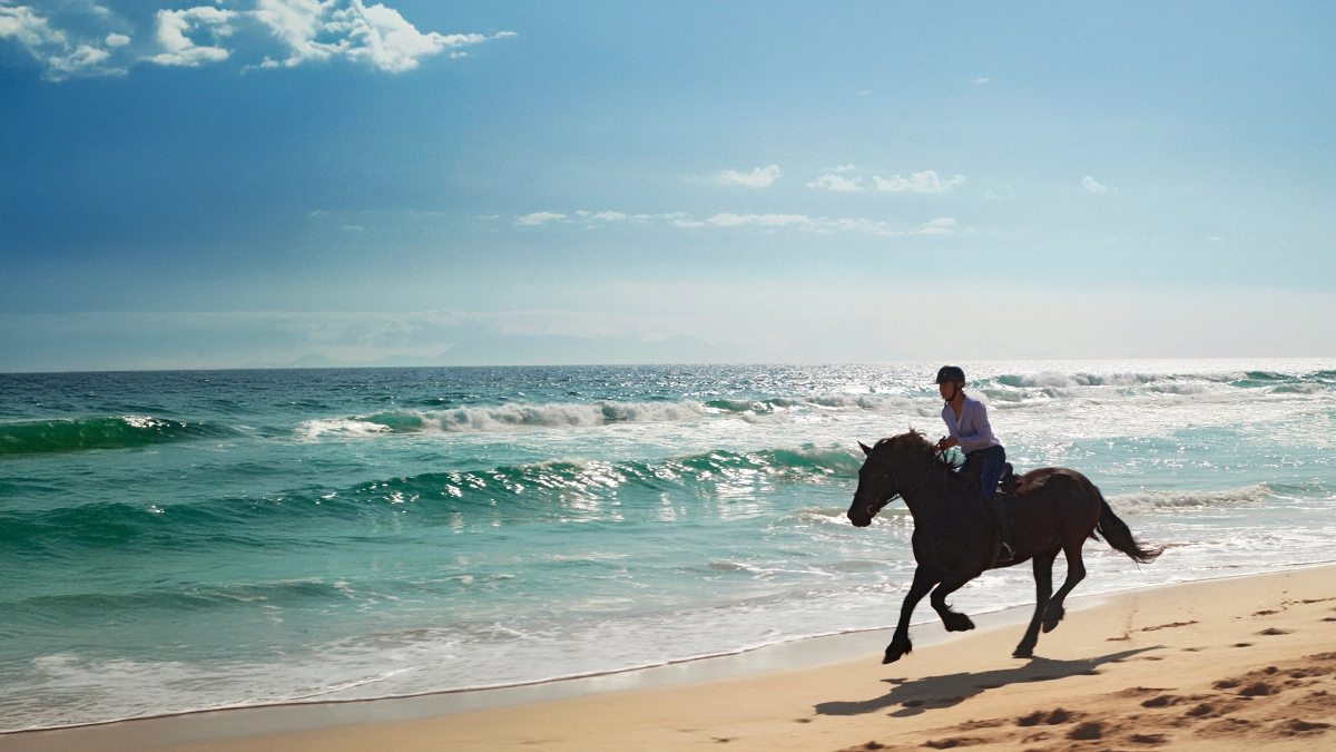 A rider on a horse galloping along a sandy ocean beach