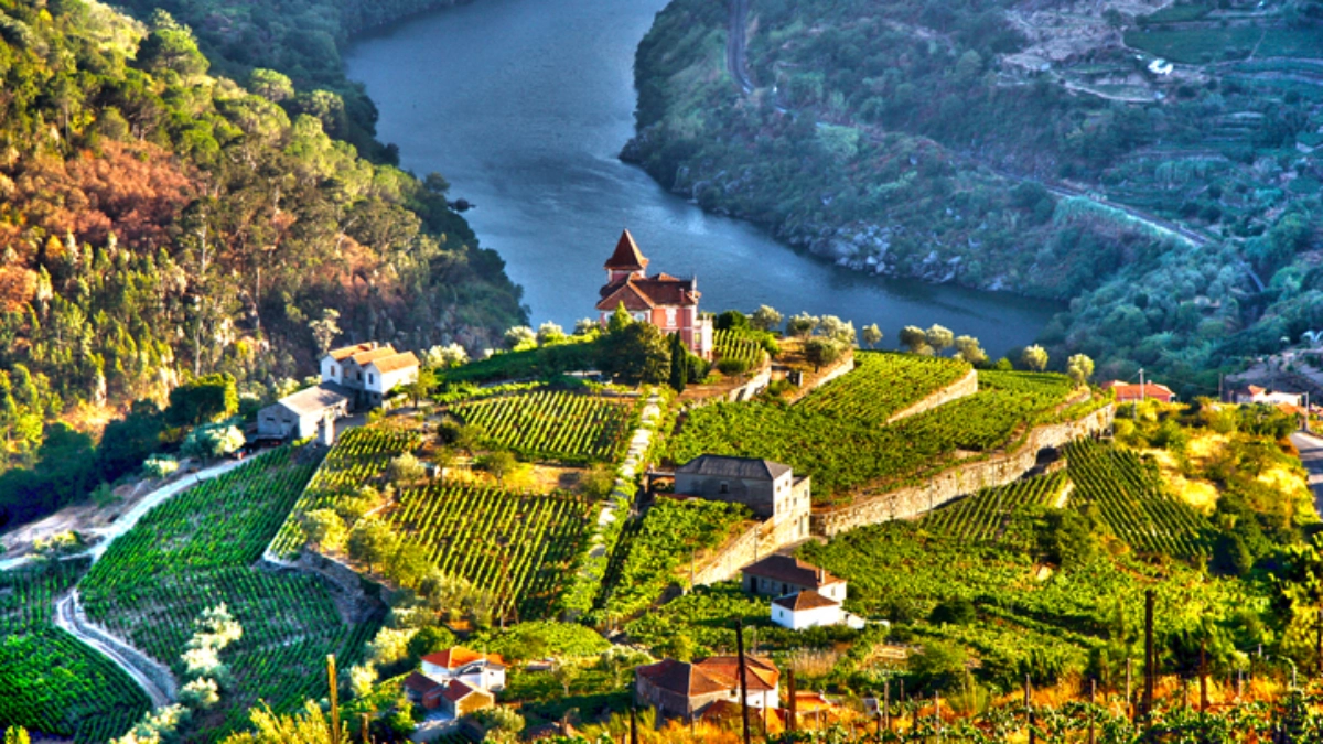 Landscape in Douro Valley, Portugal