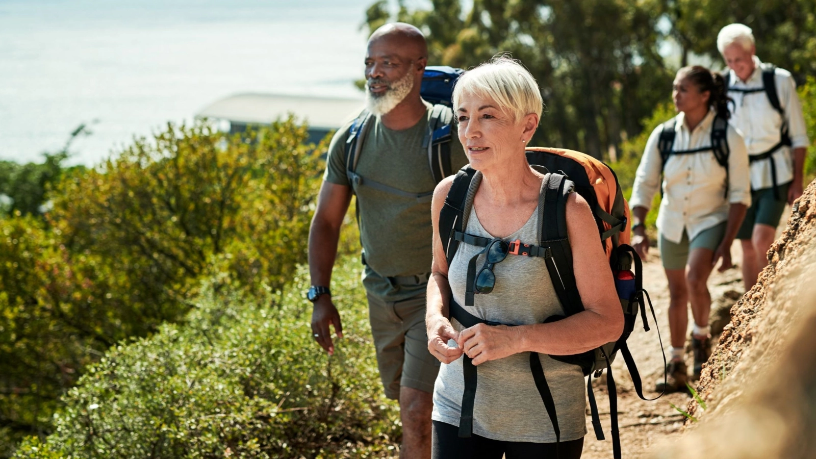 A group of senior people hiking together out in the mountains