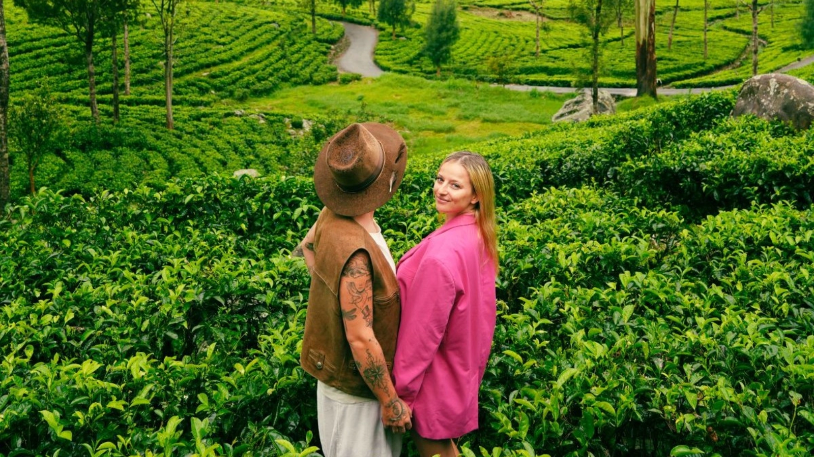 Misty mountain landscape tea plantations, dense greenery, and scattered trees, Sri Lanka