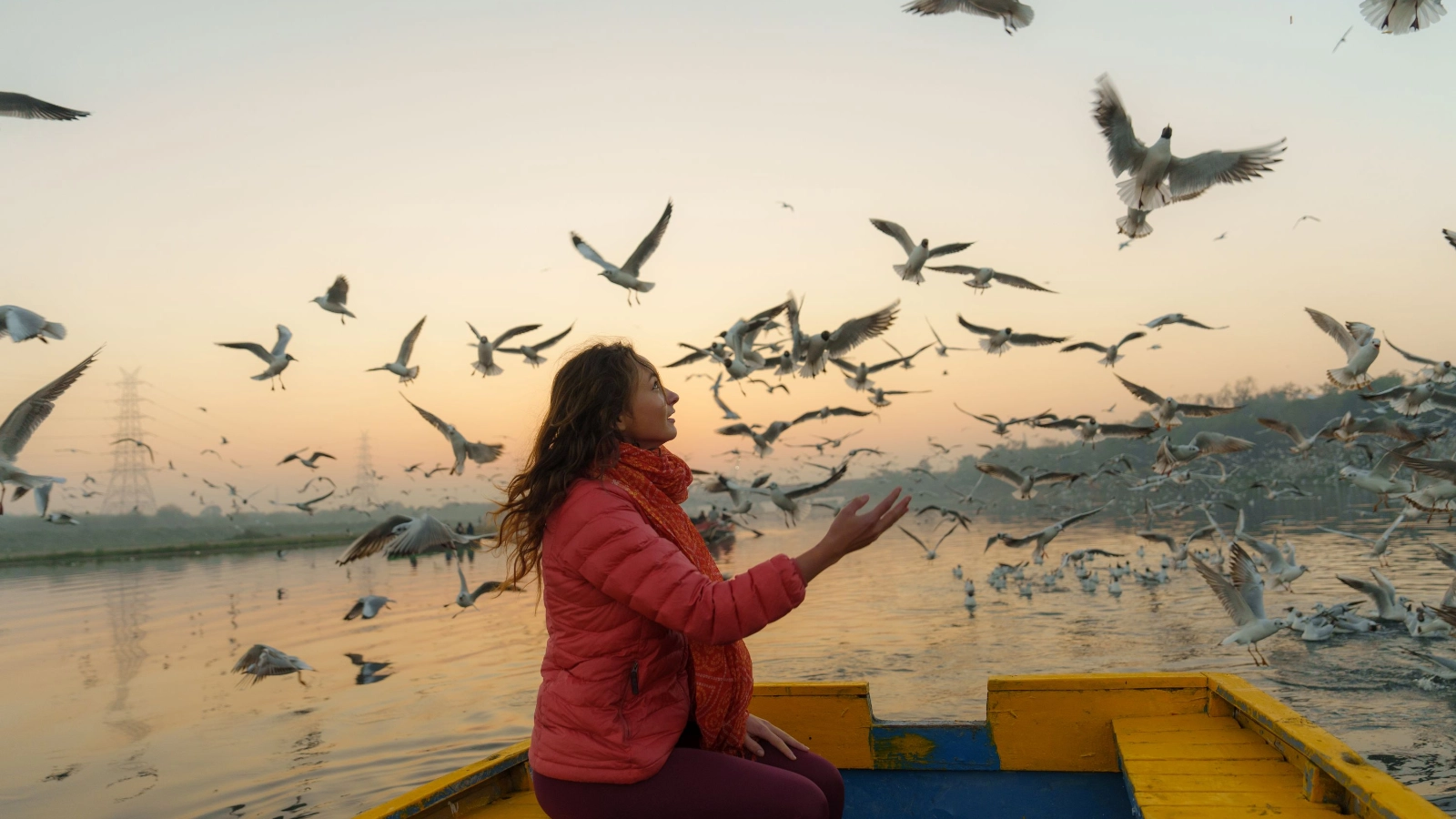 Woman looking at flock of birds on river in New Delhi from a boat