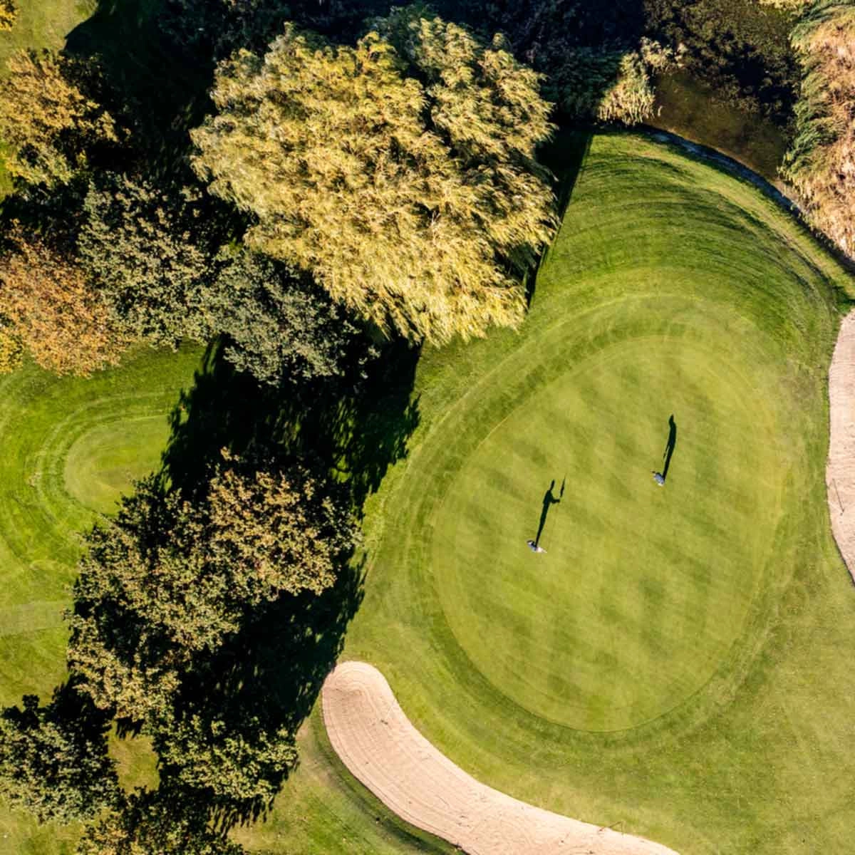 Golf green with sand bunkers